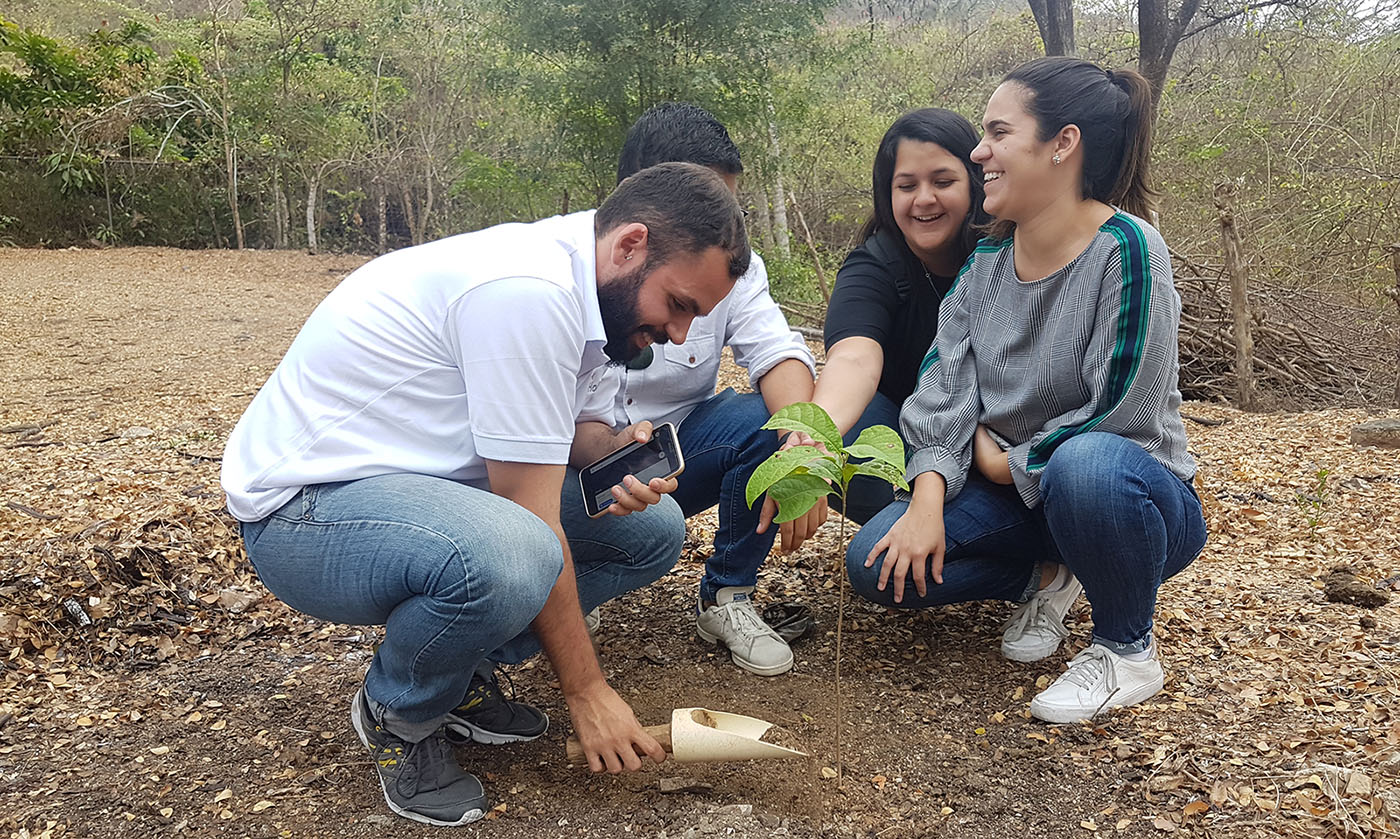 Entre más árboles, menos calor. La importancia de reforestar y cómo hacerlo  en Guayaquil | Ecología | La Revista | El Universo