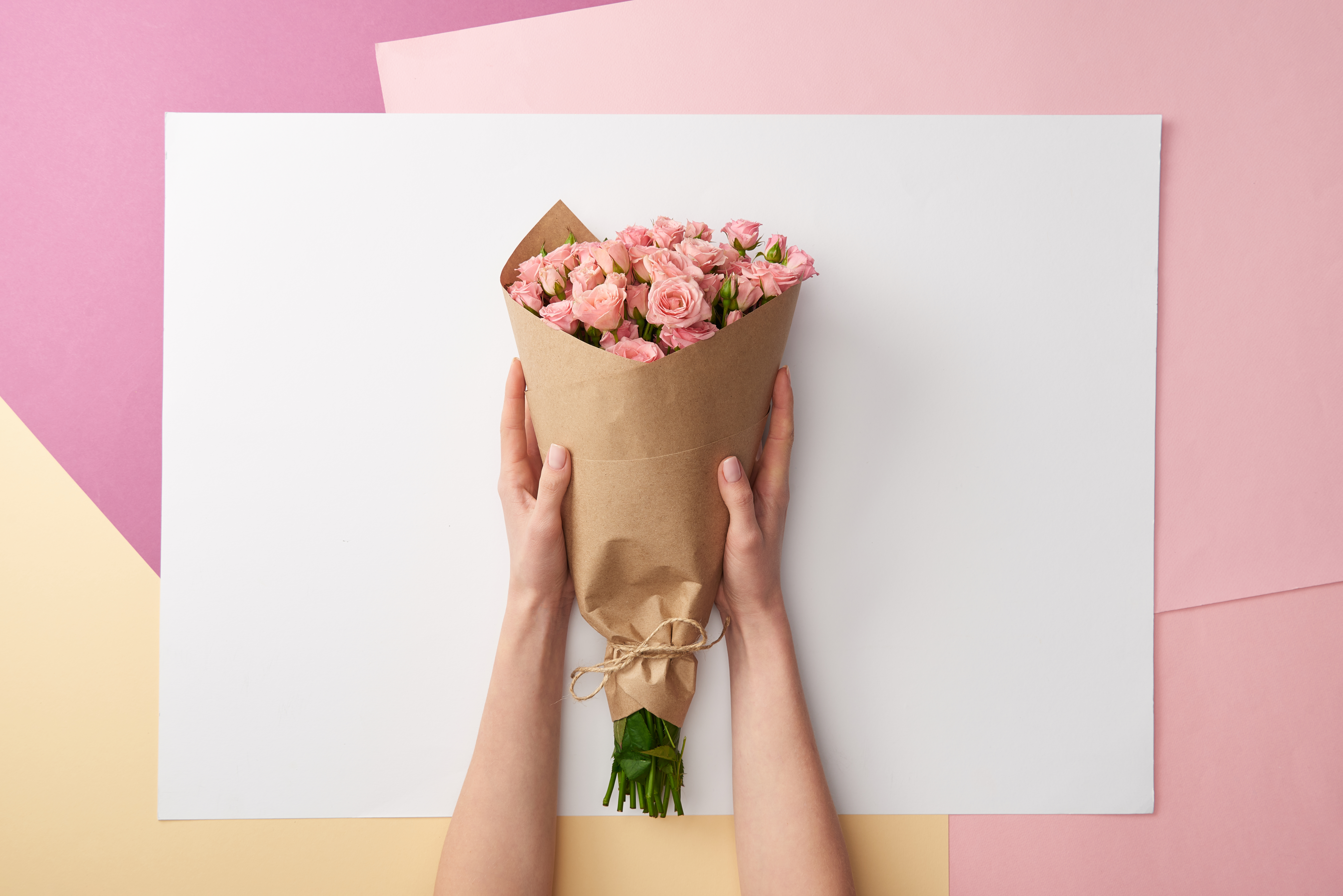 Conoce el significado de las rosas según su color para que regales las  correctas en San Valentín | Diseño | La Revista | El Universo