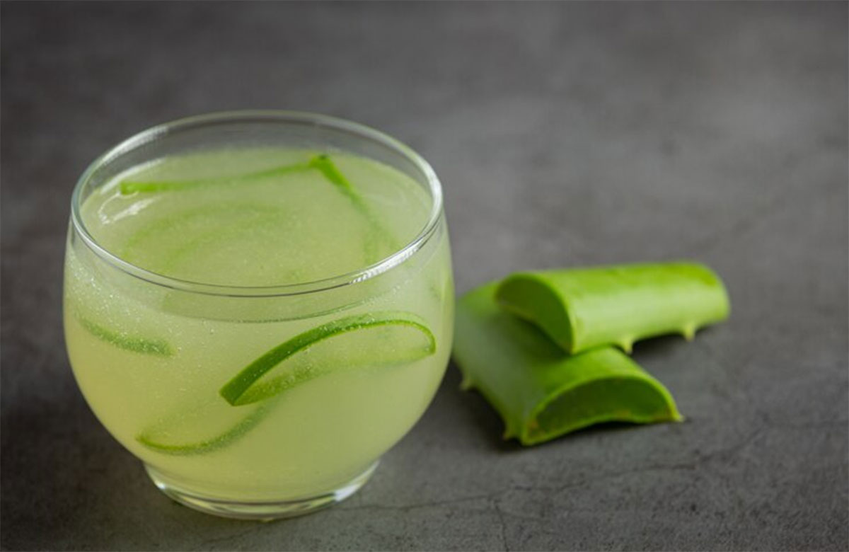 Tomar aloe vera antes de dormir: para qu sirve y cmo preparar esta bebida  natural | Salud | La Revista | El Universo