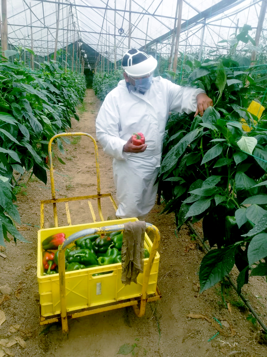 Catering Las Peñas, que nació con la minería, se adapta en tiempos de pandemia
