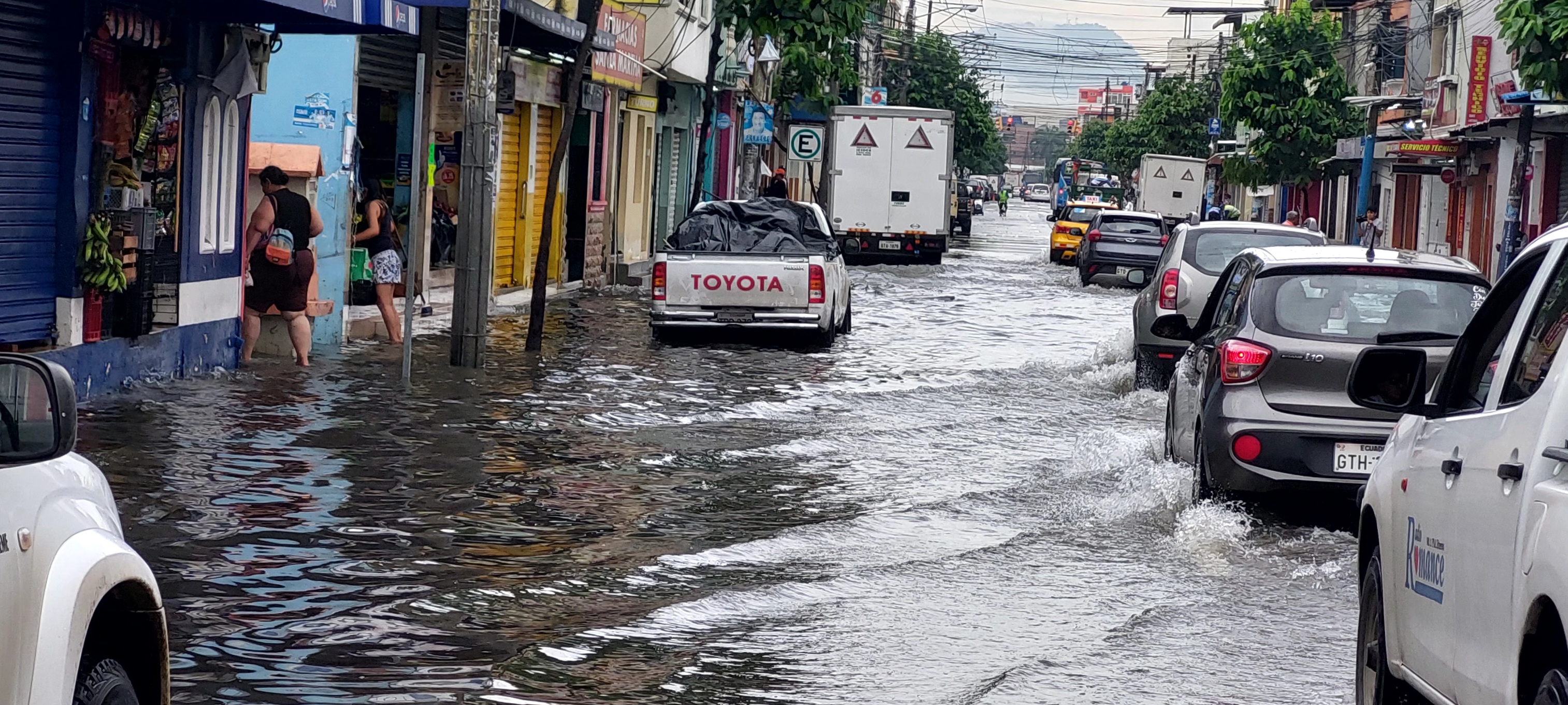 Hasta peces se hallaron en sistema de aguas lluvias de Guayaquil tras  tormenta eléctrica, Comunidad, Guayaquil