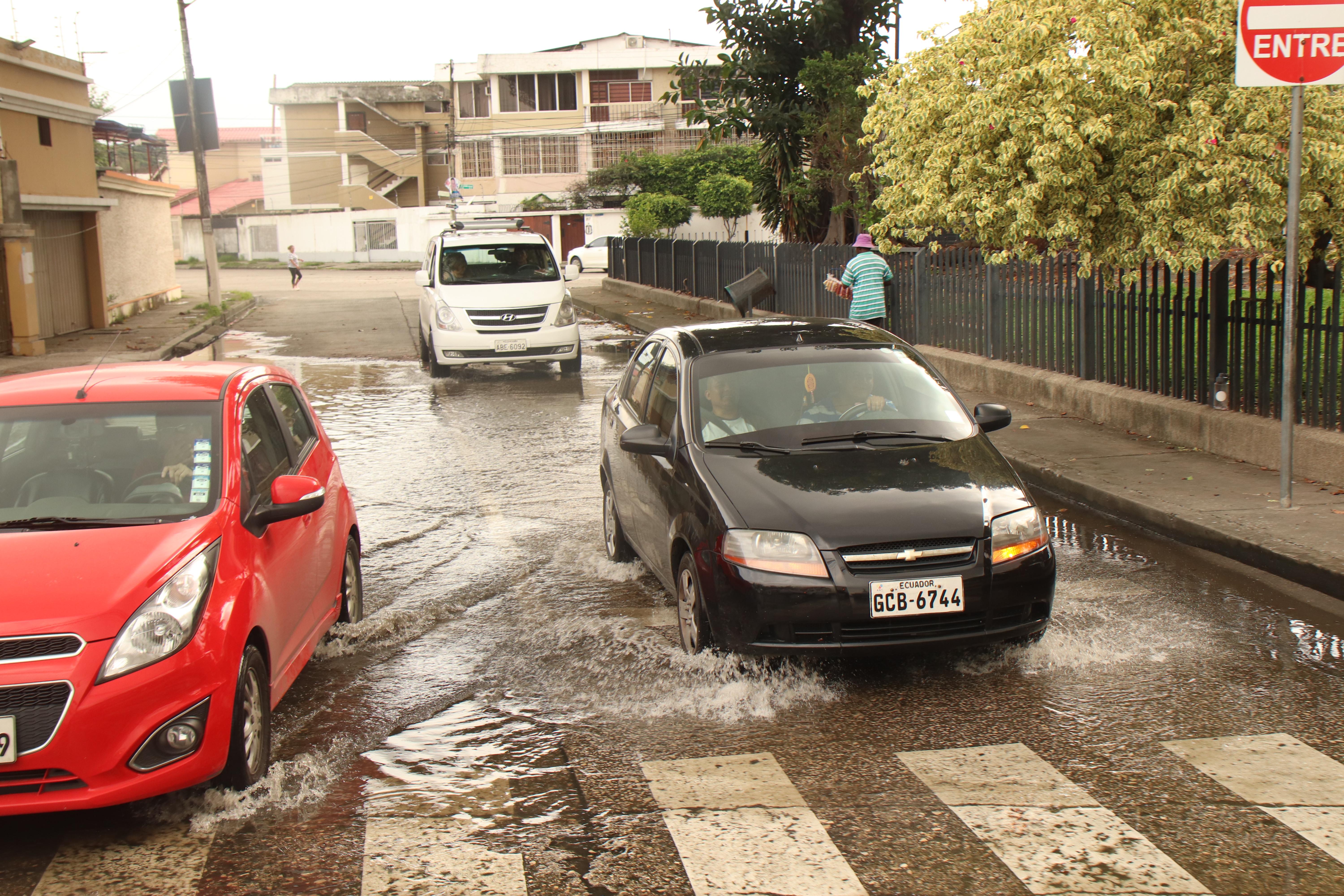 Si te entra agua en el coche cuando llueve, estas juntas de goma para las  puertas son la solución - Periodismo del Motor