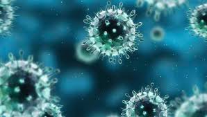 Brote de coronavirus no es un caso de emergencia internacional