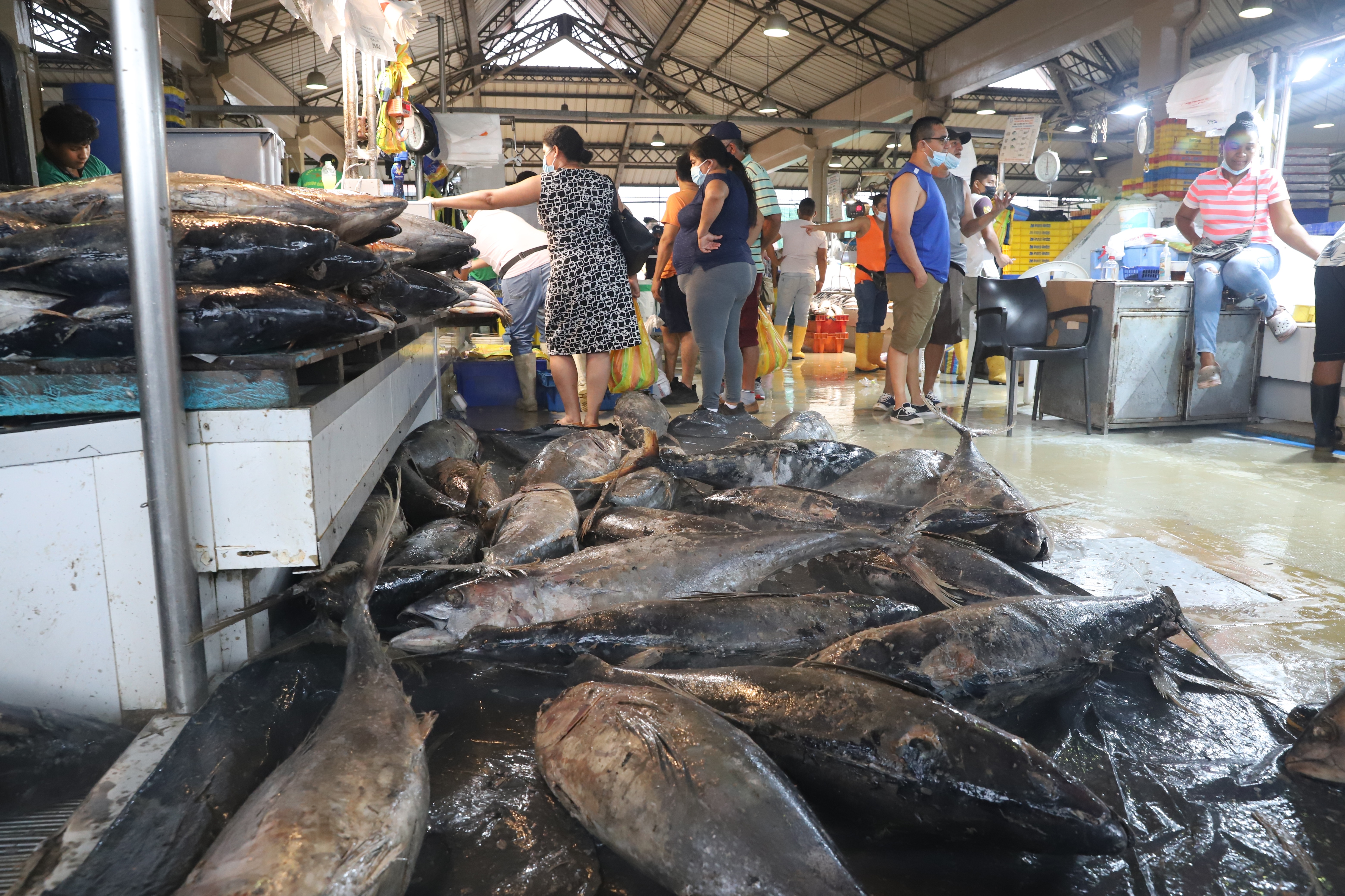 El consumo de pescado en Ecuador está por debajo del promedio mundial |  Economía | Noticias | El Universo