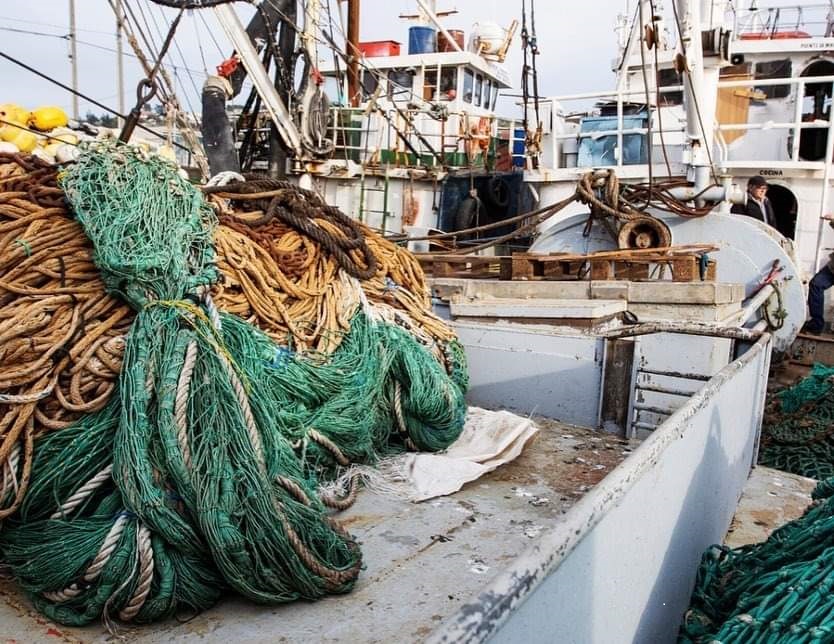 Diez países pesqueros se comprometen a reciclar 1.500 toneladas de redes en  desuso, Economía, Noticias