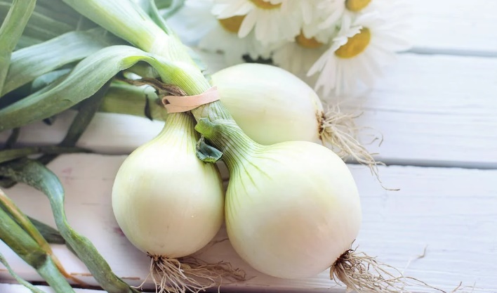 Beneficios nutricionales de la cebolla