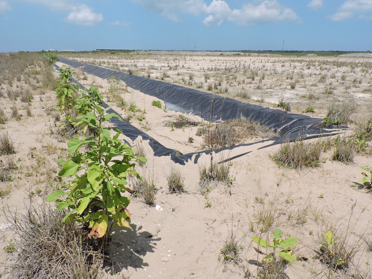 Petroecuador, Odebrecht y SK son los mayores acreedores de Refinería del Pacífico
