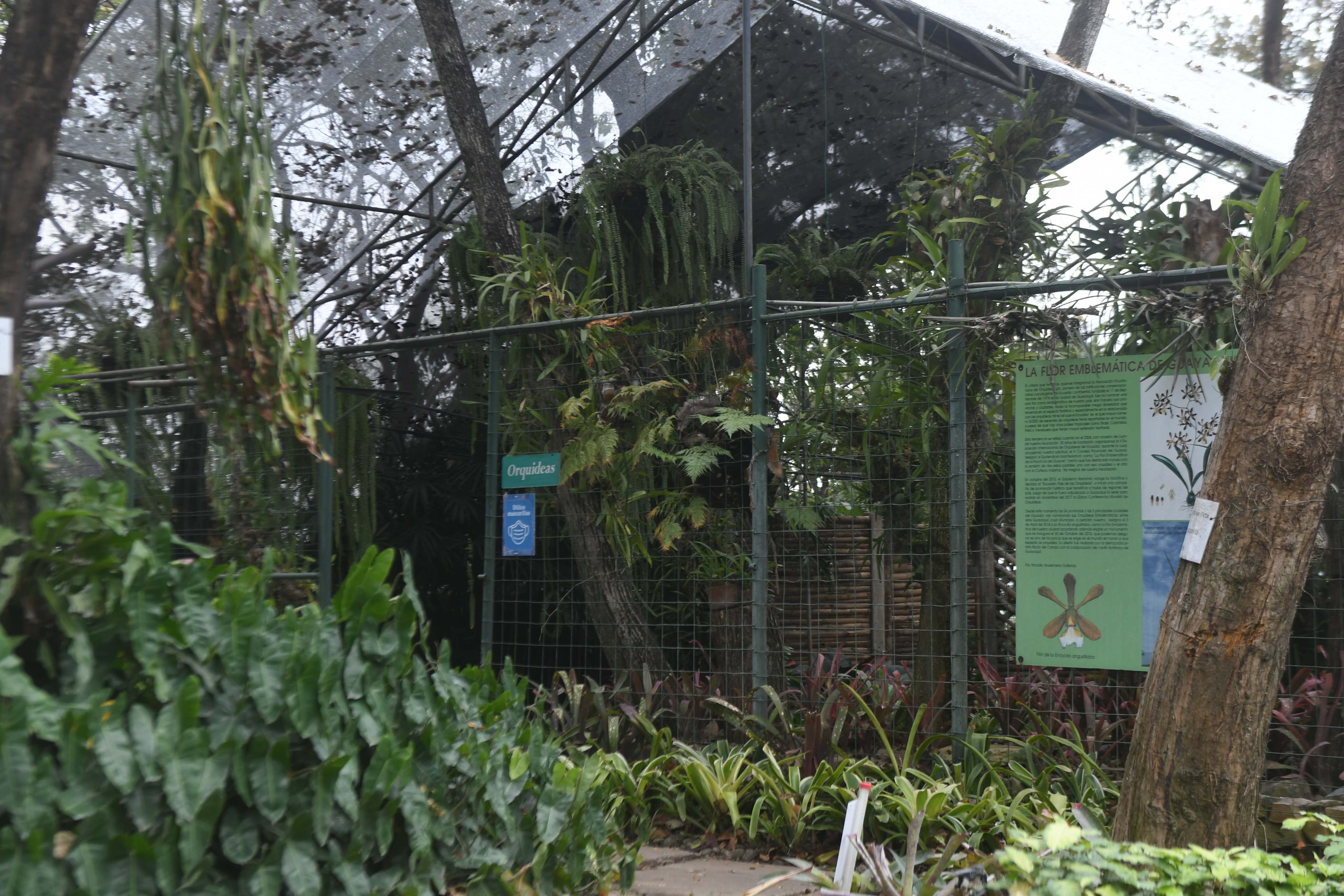 Jardín Botánico de Guayaquil, espacio natural que se presenta como buena  opción para visitantes | Comunidad | Guayaquil | El Universo