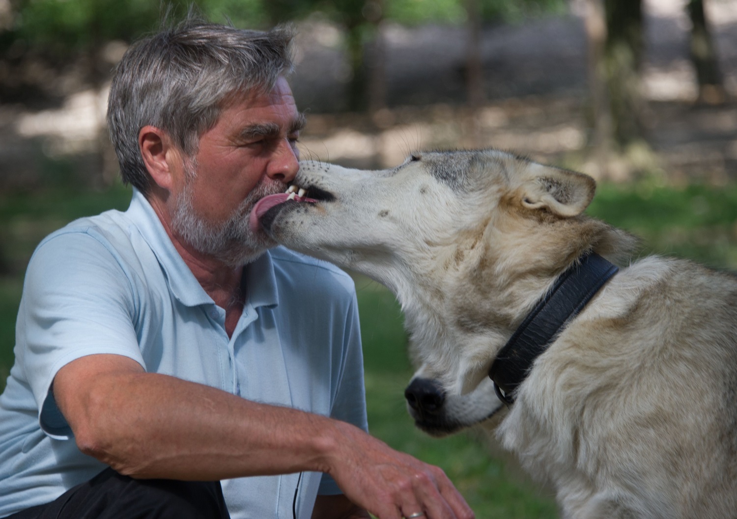 En Austria, altos ejecutivos conviven con lobos para reforzar su liderazgo  | Economía | Noticias | El Universo