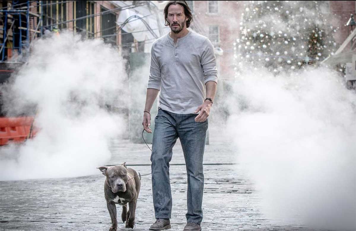 que perro esta en john wick 3