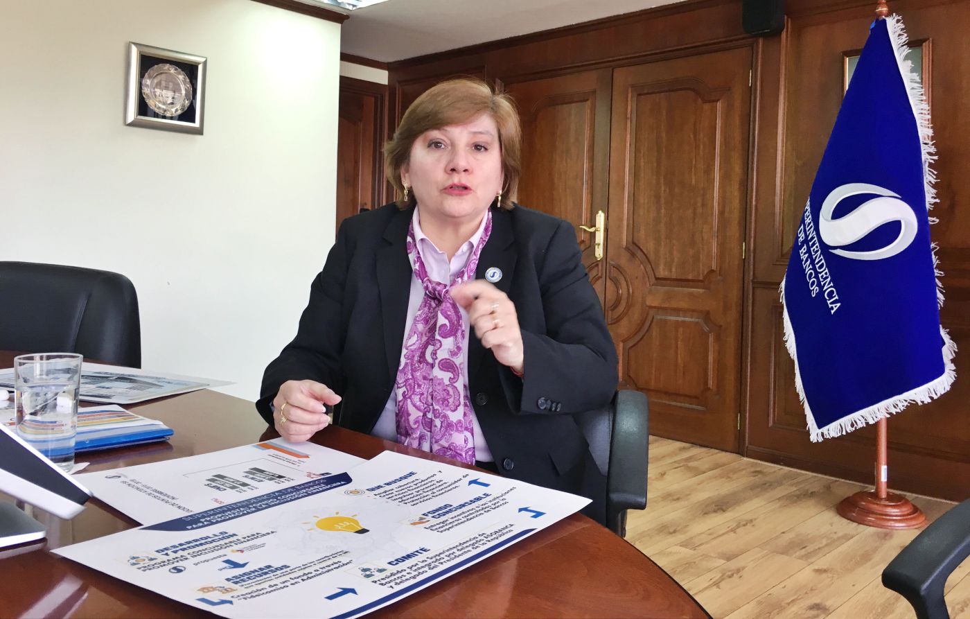 Asamblea Nacional llama a juicio político a superintendenta de Bancos, Ruth  Arregui, por incumplimiento de funciones | Política | Noticias | El Universo