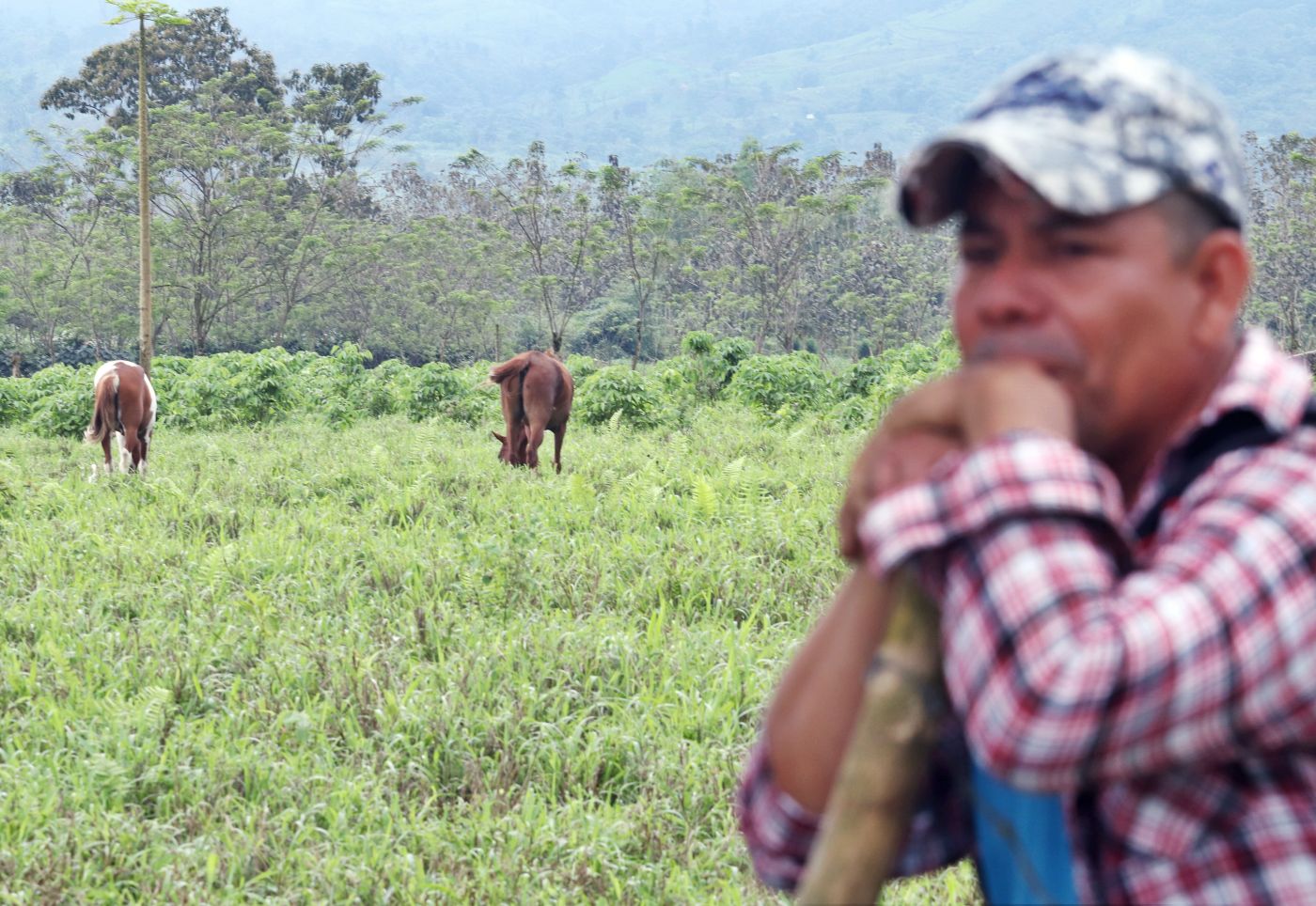 Proyecto busca repensar plan de redistribución de tierras | Informes |  Noticias | El Universo