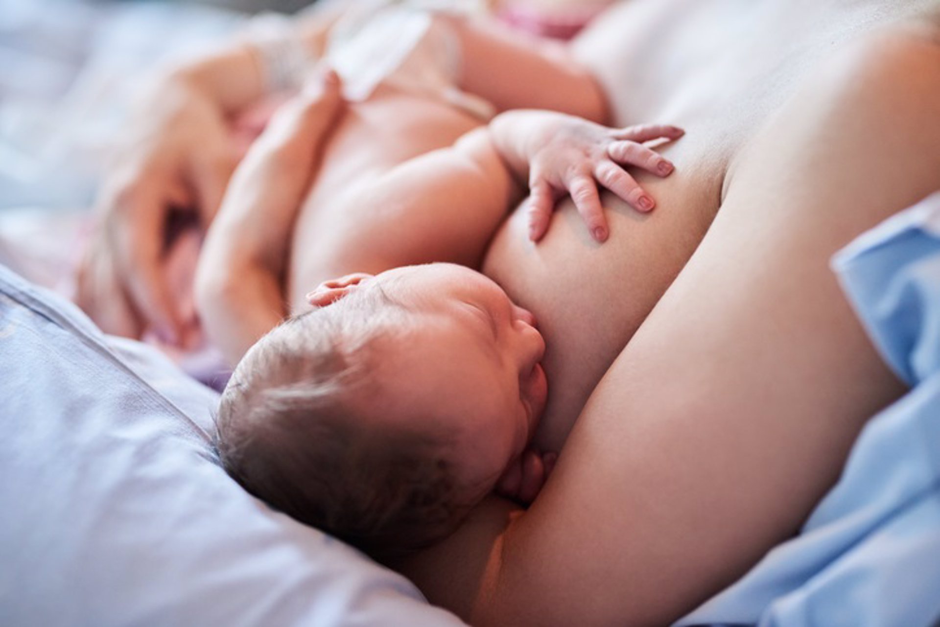 Guía definitiva de la lactancia materna – Artículos Maternales