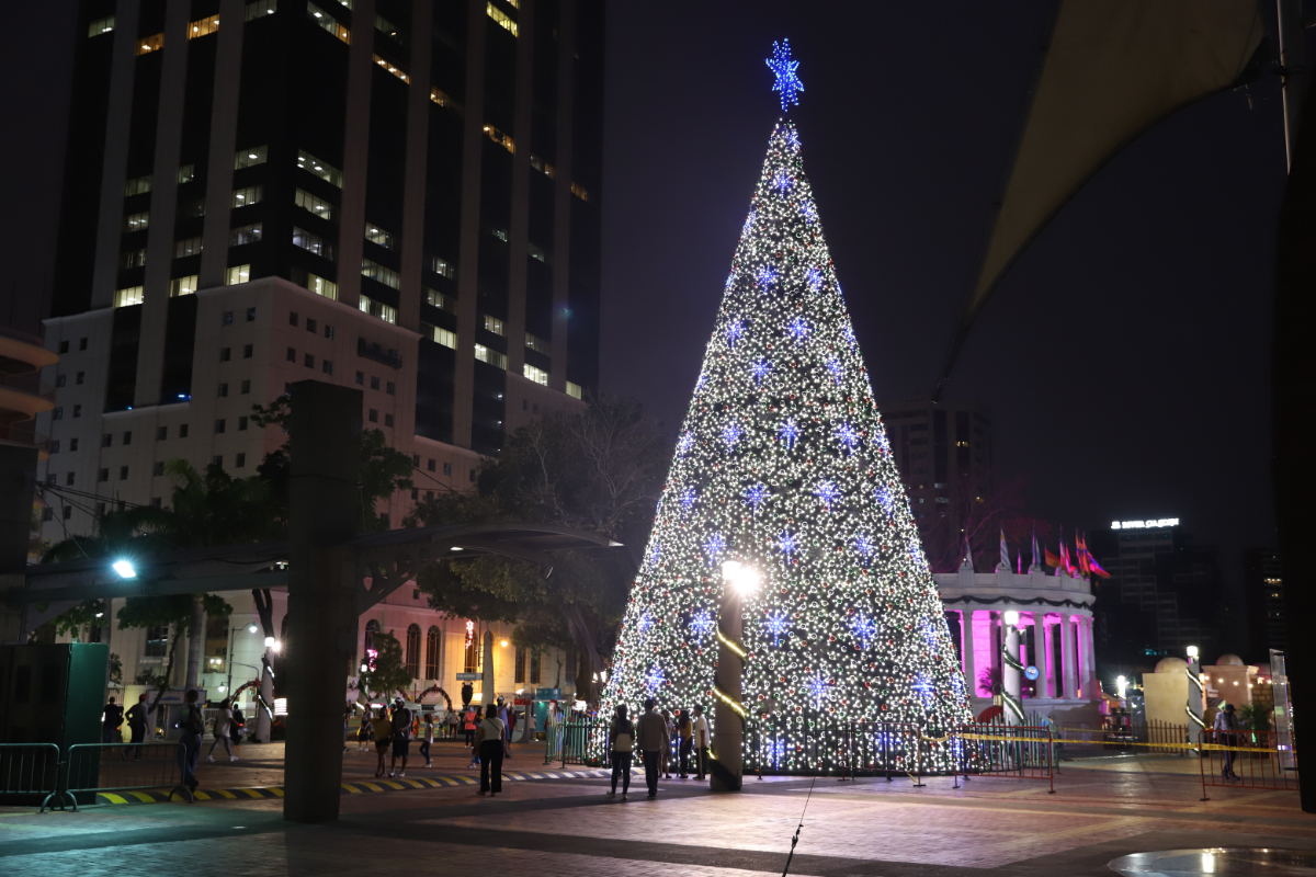 Este jueves 3 en el Malecón Simón Bolívar se enciende árbol navideño de 20  metros con evento virtual, sin acceso de público | Comunidad | Guayaquil |  El Universo