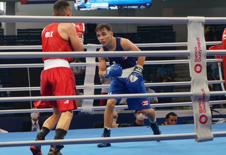 Campeonato Continental Ecuador  Federación Mexicana de Boxeo