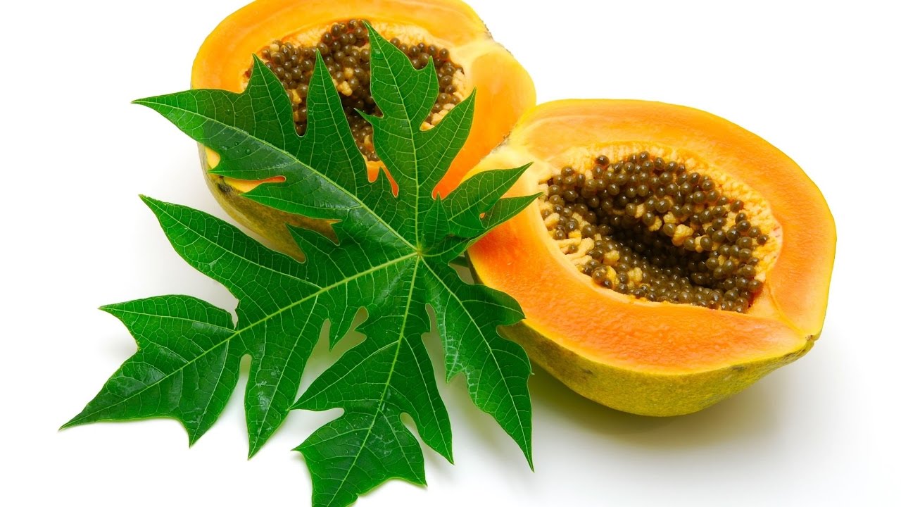 Señora tanque Estimar Beneficios curativos de la hoja de papaya | Salud | La Revista | El Universo