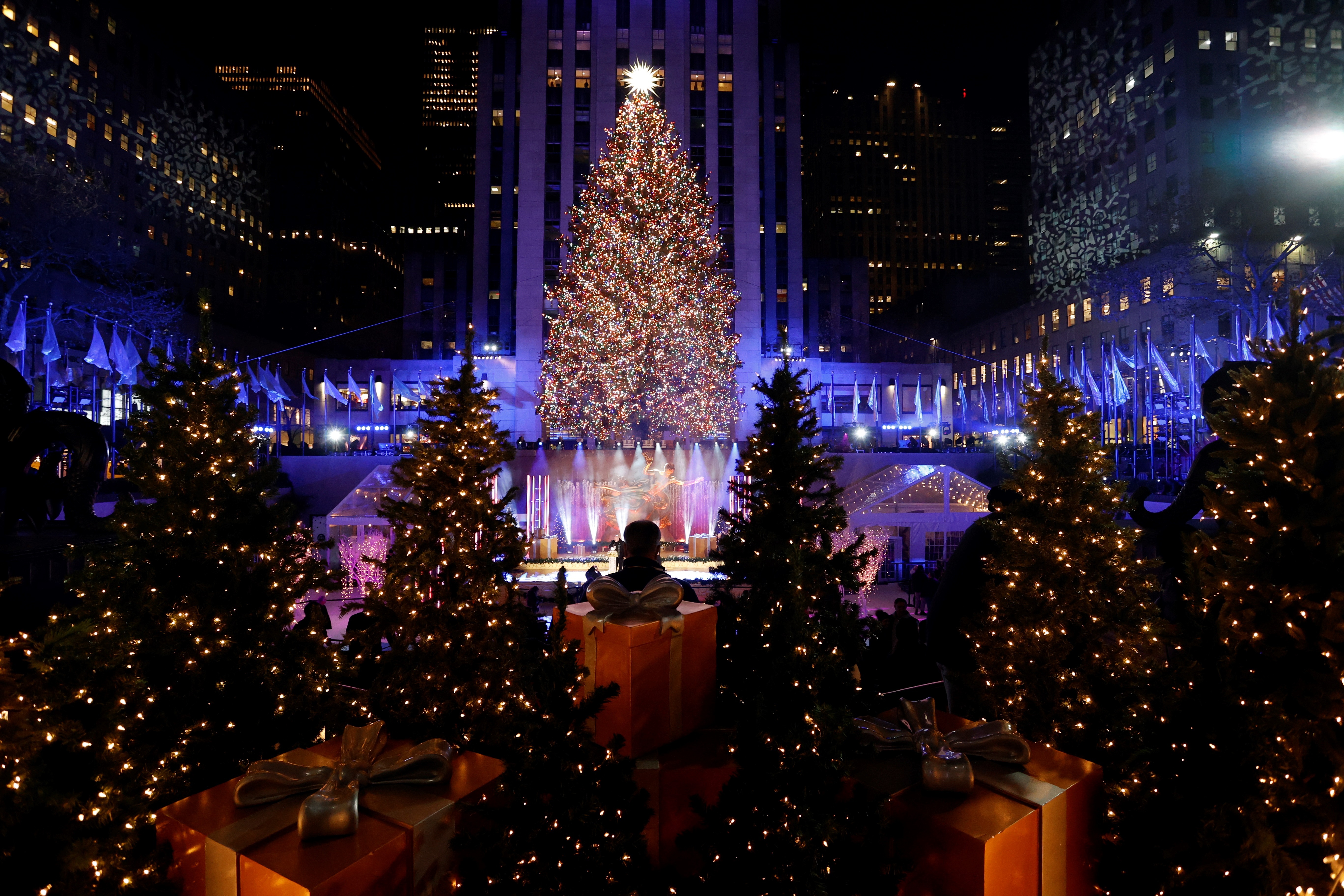 El Bronx enciende su árbol de Navidad en Grand Concourse, image size:5472x3648