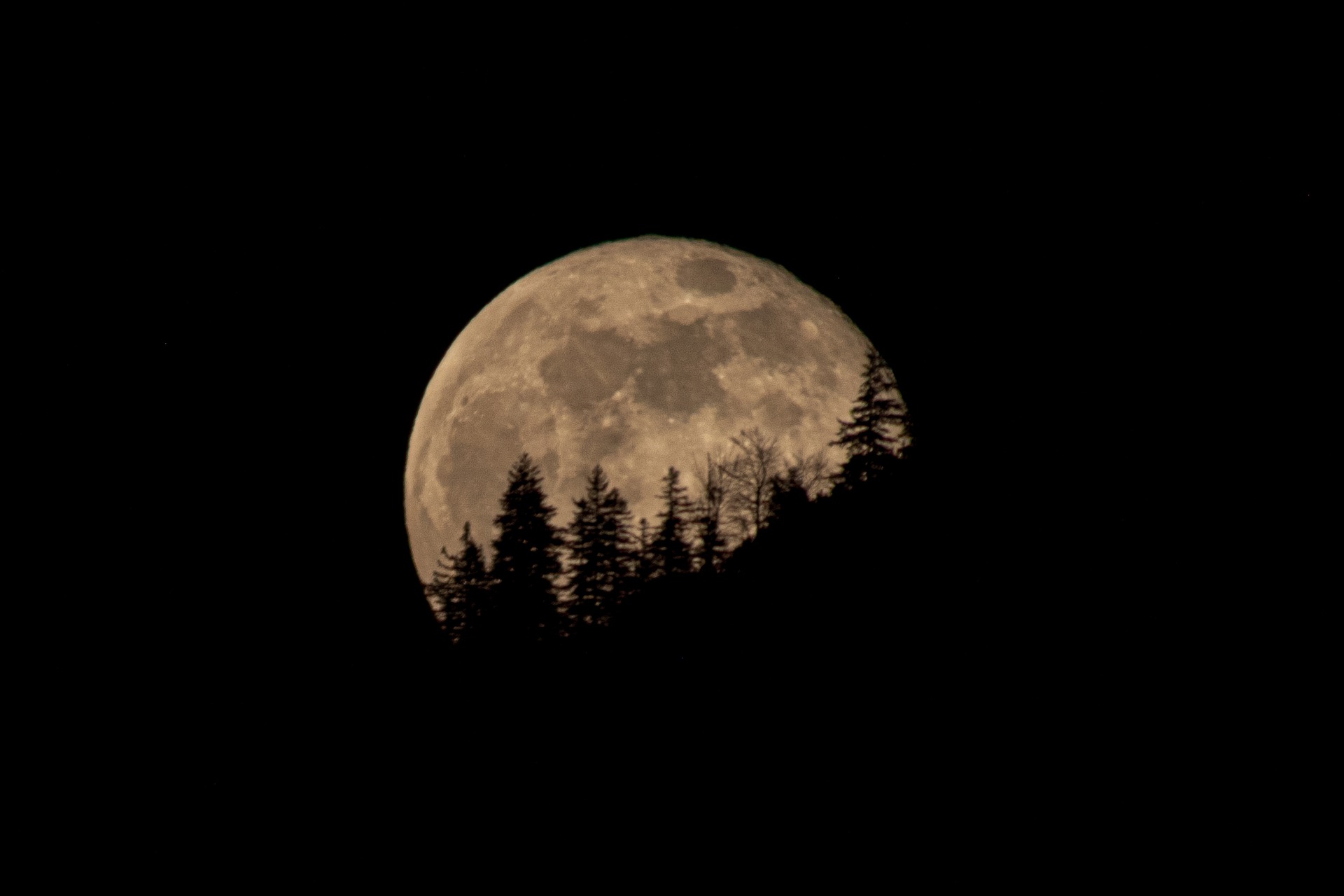 Soñar Que Orinas Y Orinarse De Verdad Cuándo ver la luna llena de marzo y por qué se llama 'de gusano' |  Internacional | Noticias | El Universo