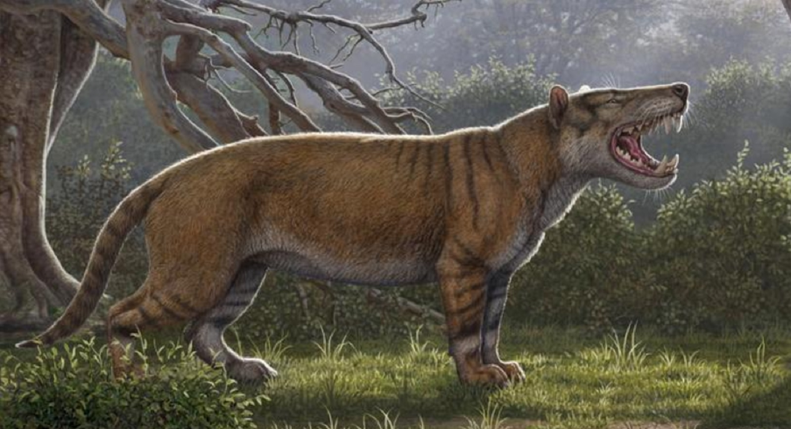 El gran león de África, el carnívoro extinto más grande del planeta |  Ecología | La Revista | El Universo