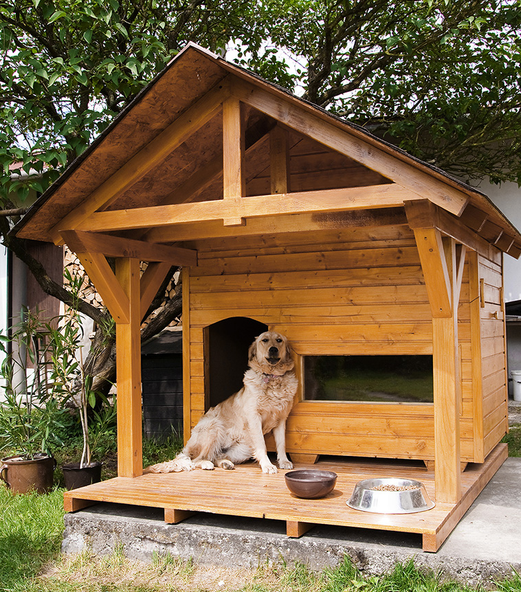 Casas para perros: la mansión de su mejor amigo, Diseño