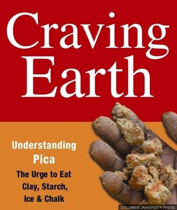 Qué es la pica: el trastorno que hace que algunas personas tengan un  antojo irresistible por comer tierra, tiza o hielo, Salud, La Revista