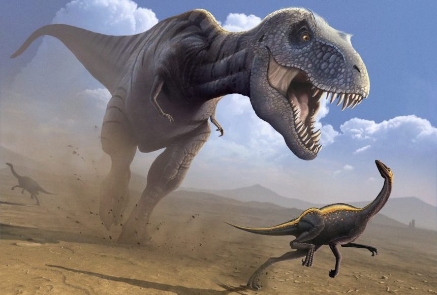 Científicos descubren a primo del tiranosaurio rex que midió solo un metro  | Internacional | Noticias | El Universo