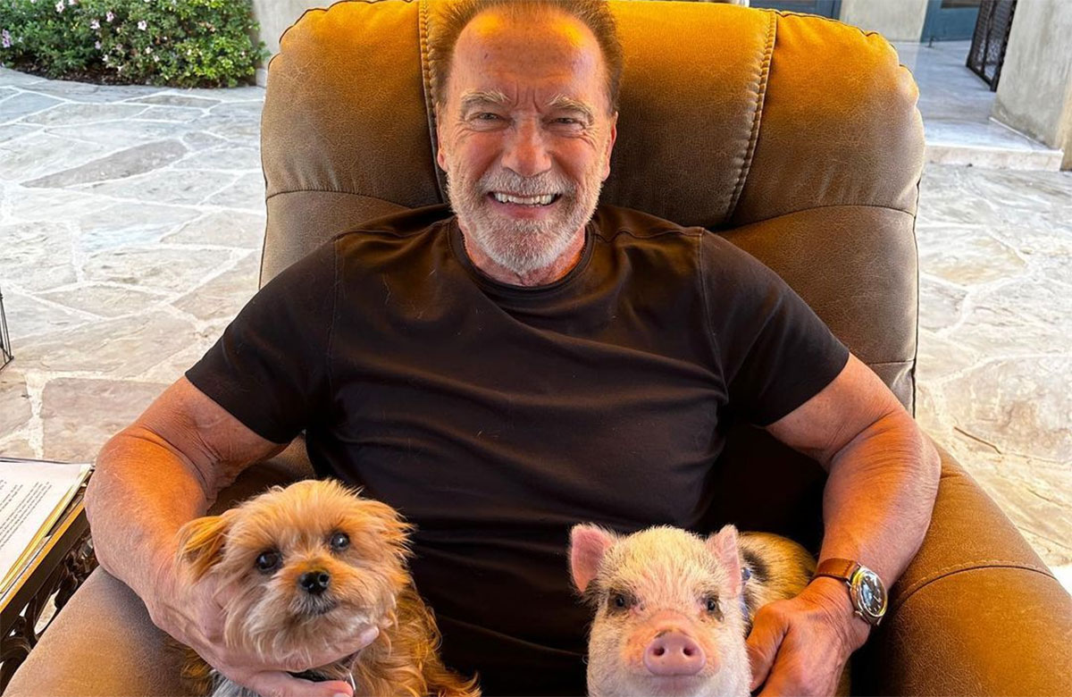 Arnold Schwarzenegger: biografía, películas, proyectos