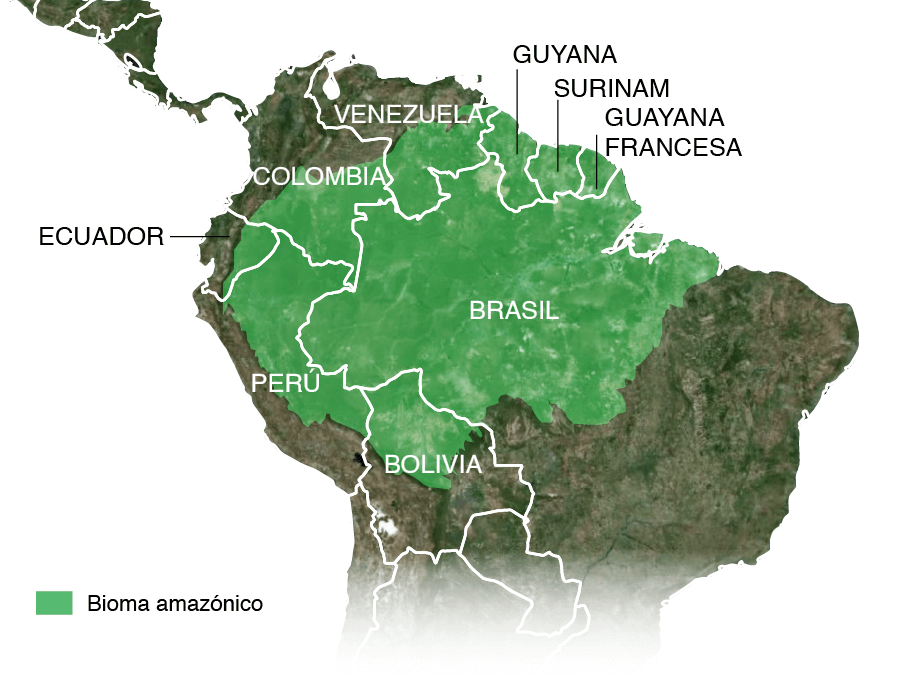 La Gran Mentira Verde Cómo La Pérdida Del Amazonas Va Mucho Más Allá De La Deforestación 8727