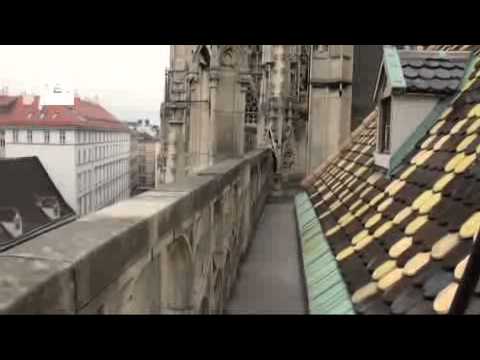La catedral o la Ópera de Viena, refugio para las abejas en peligro de extinción