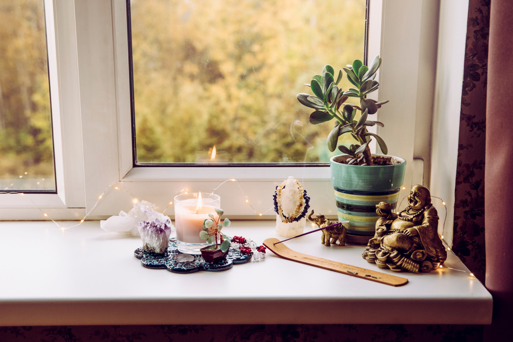 Feng Shui: Plantas que debes tener en la cocina para atraer la abundancia