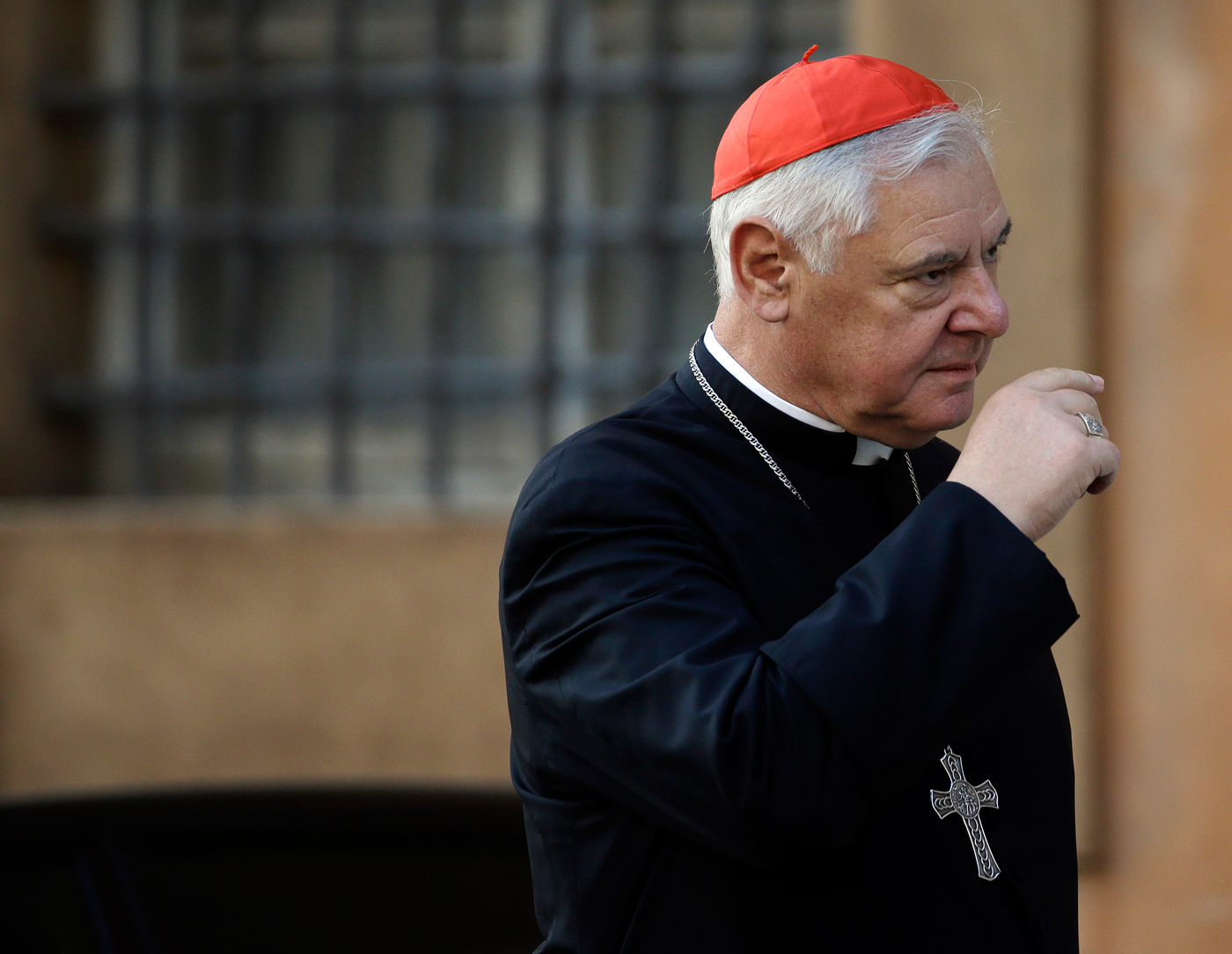El cardenal Gerhard Müller pide que se haga justicia para acusados de  abusos a menores | Internacional | Noticias | El Universo