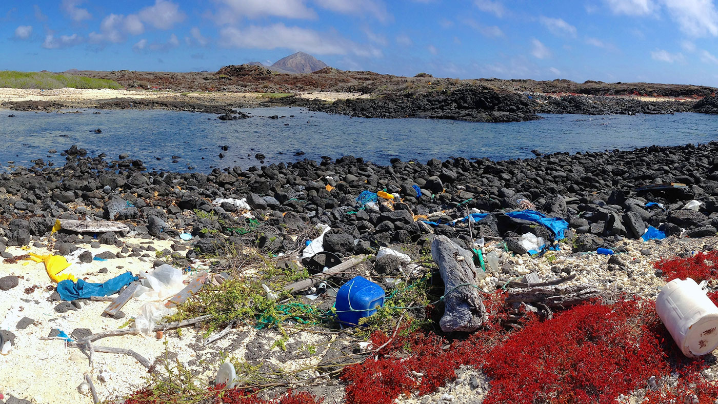 Basura marina afecta los ecosistemas y a las especies en Galápagos |  Ecología | La Revista | El Universo