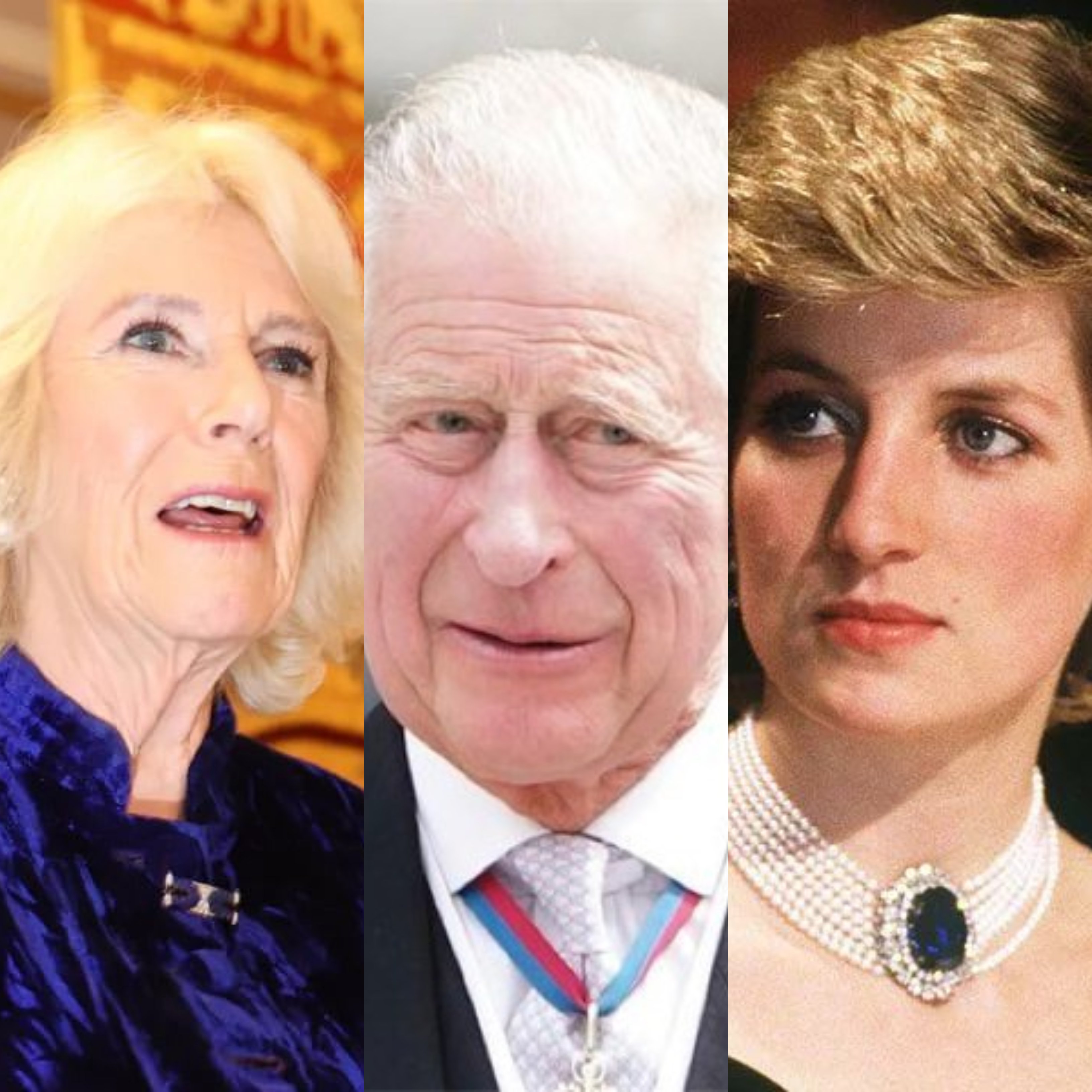 Por favor, no me trates como una idiota, sé lo que está pasando”: El  guardaespaldas de Diana cuenta cómo Diana confrontó a Camilla Parker Bowles  cuando descubrió que el príncipe Carlos le