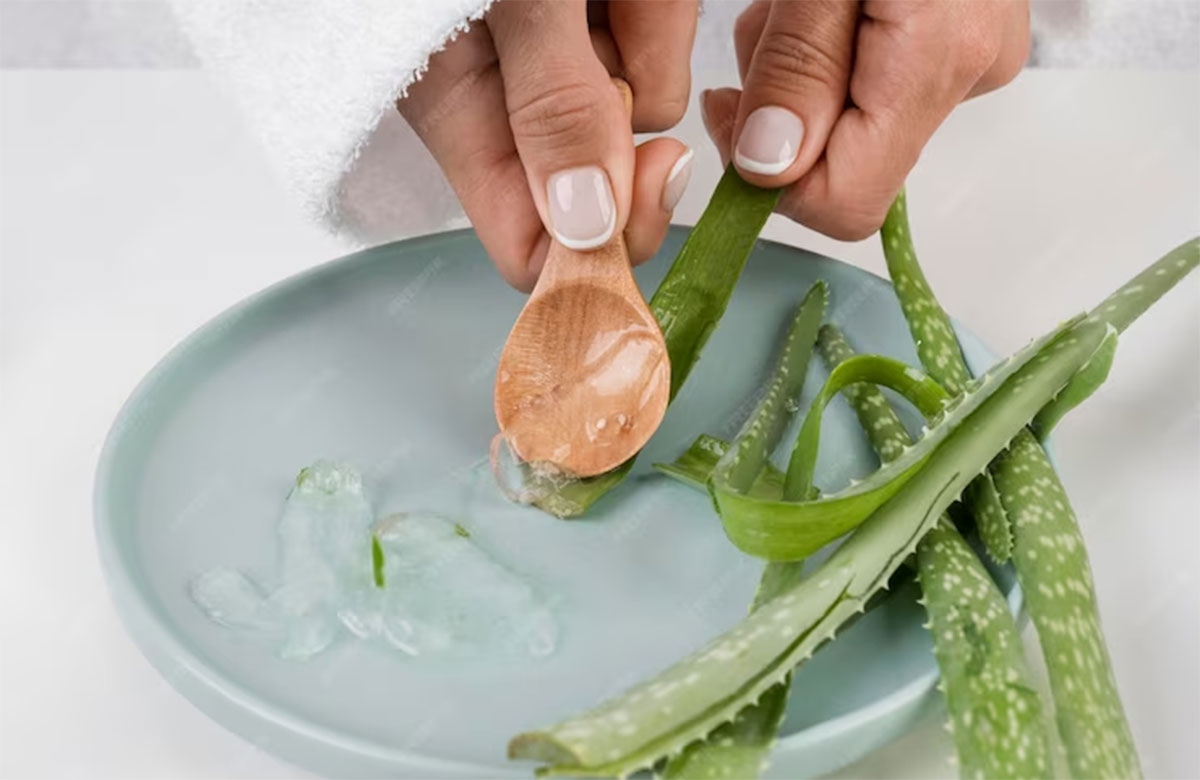 was bewirkt aloe vera gel sovita Aloe Vera Gel