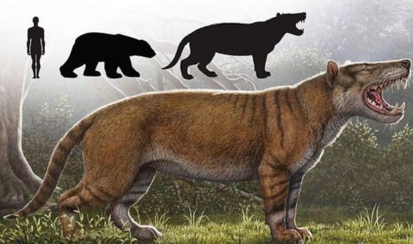 El gran león de África, el carnívoro extinto más grande del planeta |  Ecología | La Revista | El Universo