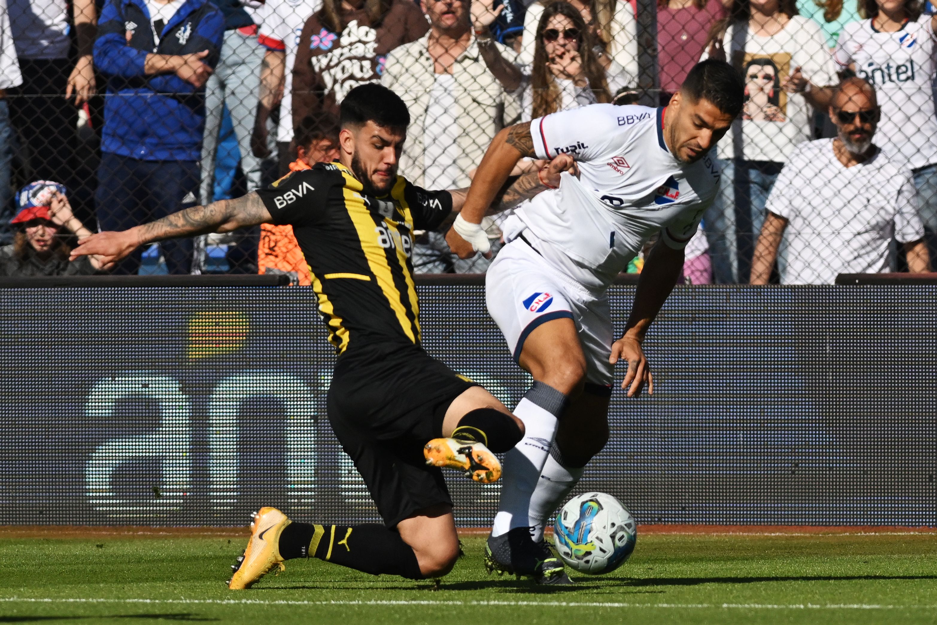 Nacional derrotó a Peñarol en un nuevo Clásico del fútbol uruguayo - Diario  Hoy En la noticia