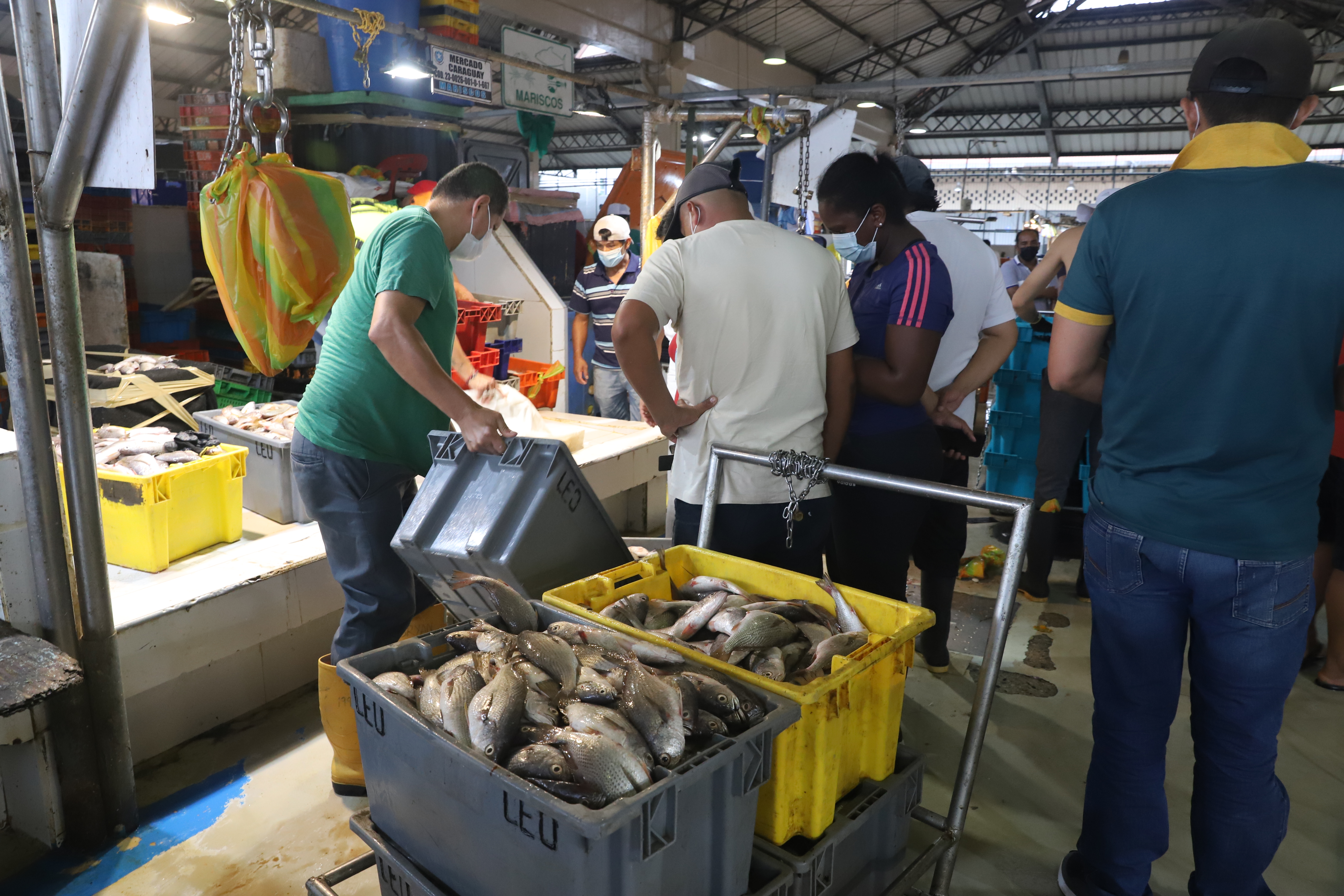 Algunas variedades de pescados y mariscos registran leves alzas en precios  | Comunidad | Guayaquil | El Universo