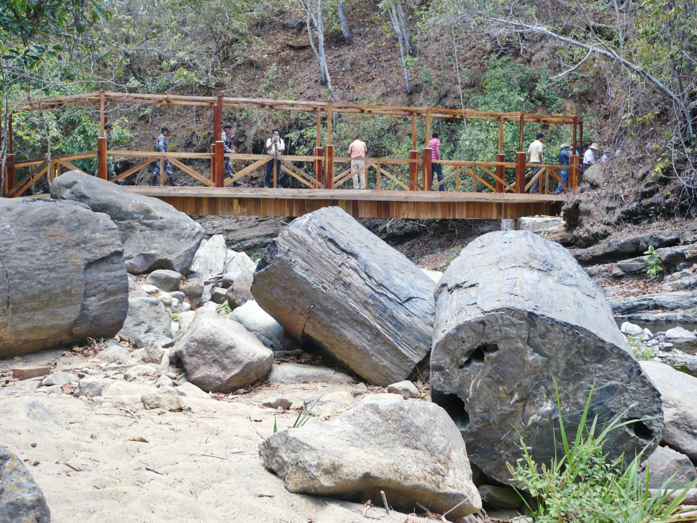 Bosque Petrificado de Puyango, un patrimonio excepcional de fósiles al sur  del Ecuador | Ecuador | Noticias | El Universo