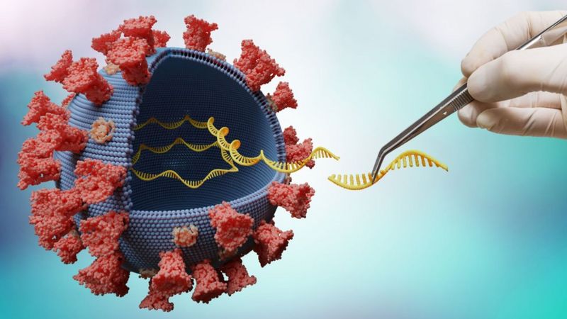 Delta: las cinco mutaciones que hacen a esta variante del coronavirus más  contagiosa y preocupante | Salud | La Revista | El Universo