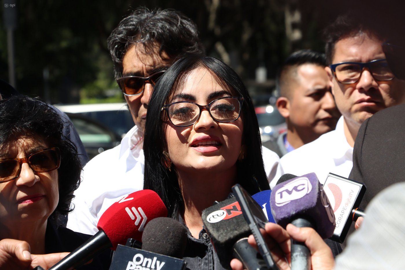 Asamblea Nacional llama a juicio político a superintendenta de Bancos, Ruth  Arregui, por incumplimiento de funciones | Política | Noticias | El Universo