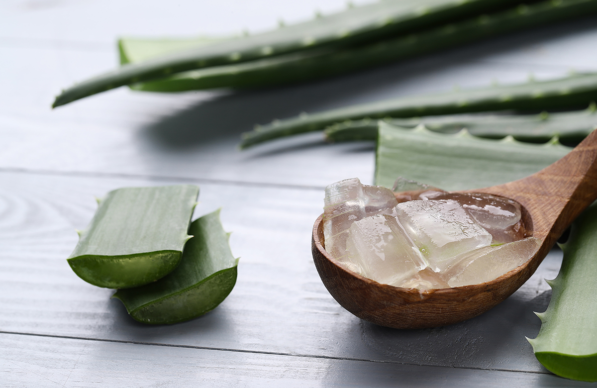 forever aloe vera gel einnahme Forever Aloe Vera Gelly – Hautpflege mit reinem Aloe Vera Gel main image 1