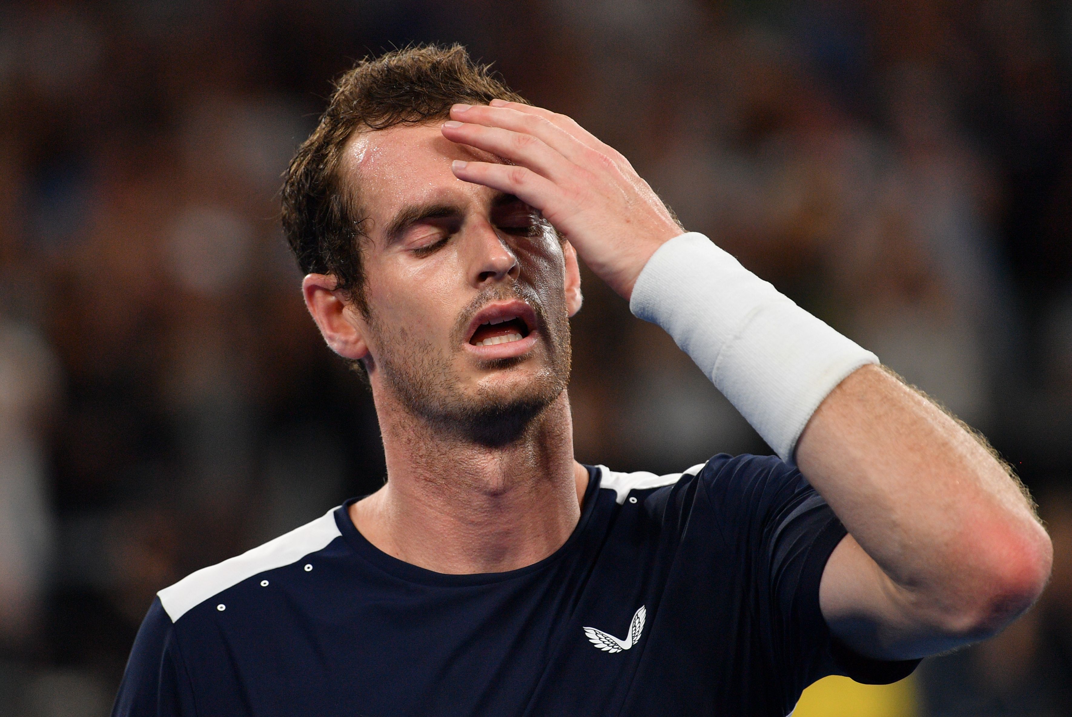 voluntario cargando Perfecto Andy Murray recibe recomendación de no dejar el tenis | Otros Deportes |  Deportes | El Universo