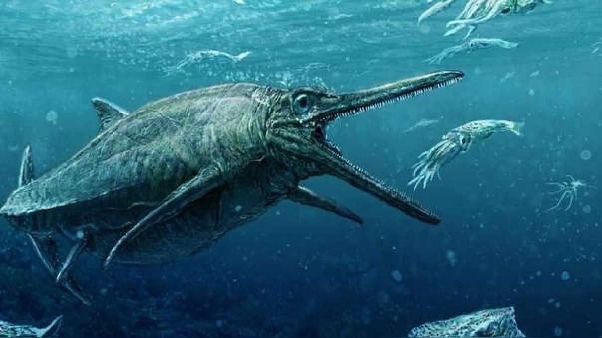 Ictiosaurio, el ‘dinosaurio marino’ que ofrece detalles sobre la megadepredación 