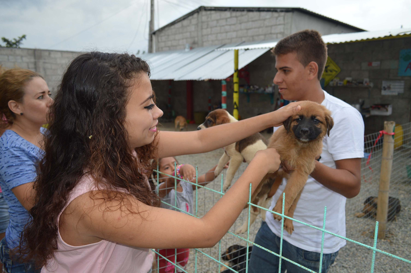 Secreto Perforación gas Primer refugio de mascotas en Machala | Ecuador | Noticias | El Universo