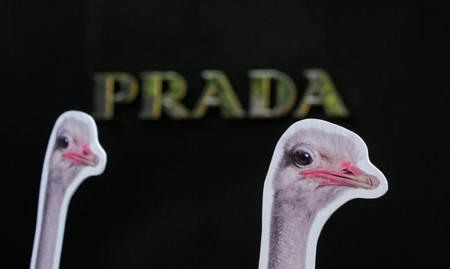 PETA se convierte en accionista de Prada para acabar con sus bolsos de  avestruz, Moda