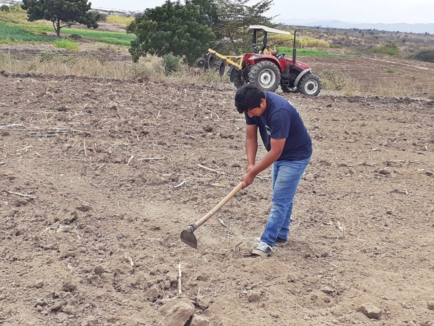 NATURALEZA MUERTA GRANDE PARA UÑAS - MAGÚ ECUADOR