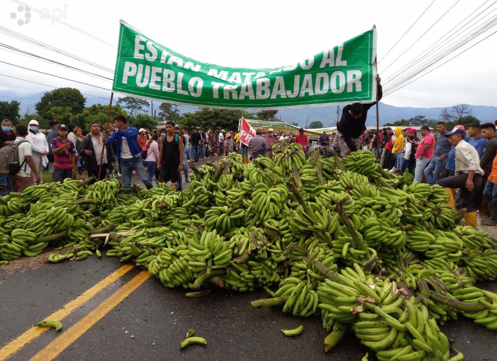 Productores sacan a las vías miles de racimos de banano para exigir atención del Gobierno