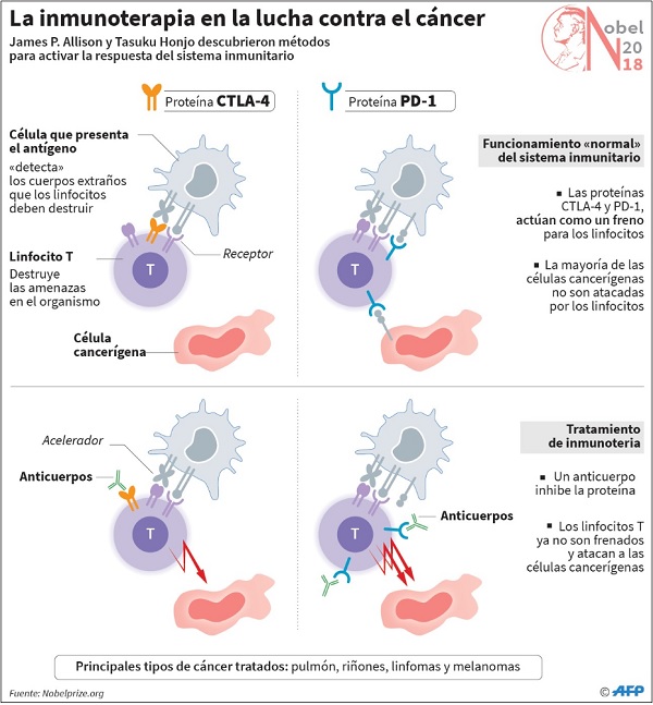 Lo que un reumatólogo debe saber de inmunoterapia contra el cáncer,  abreviado