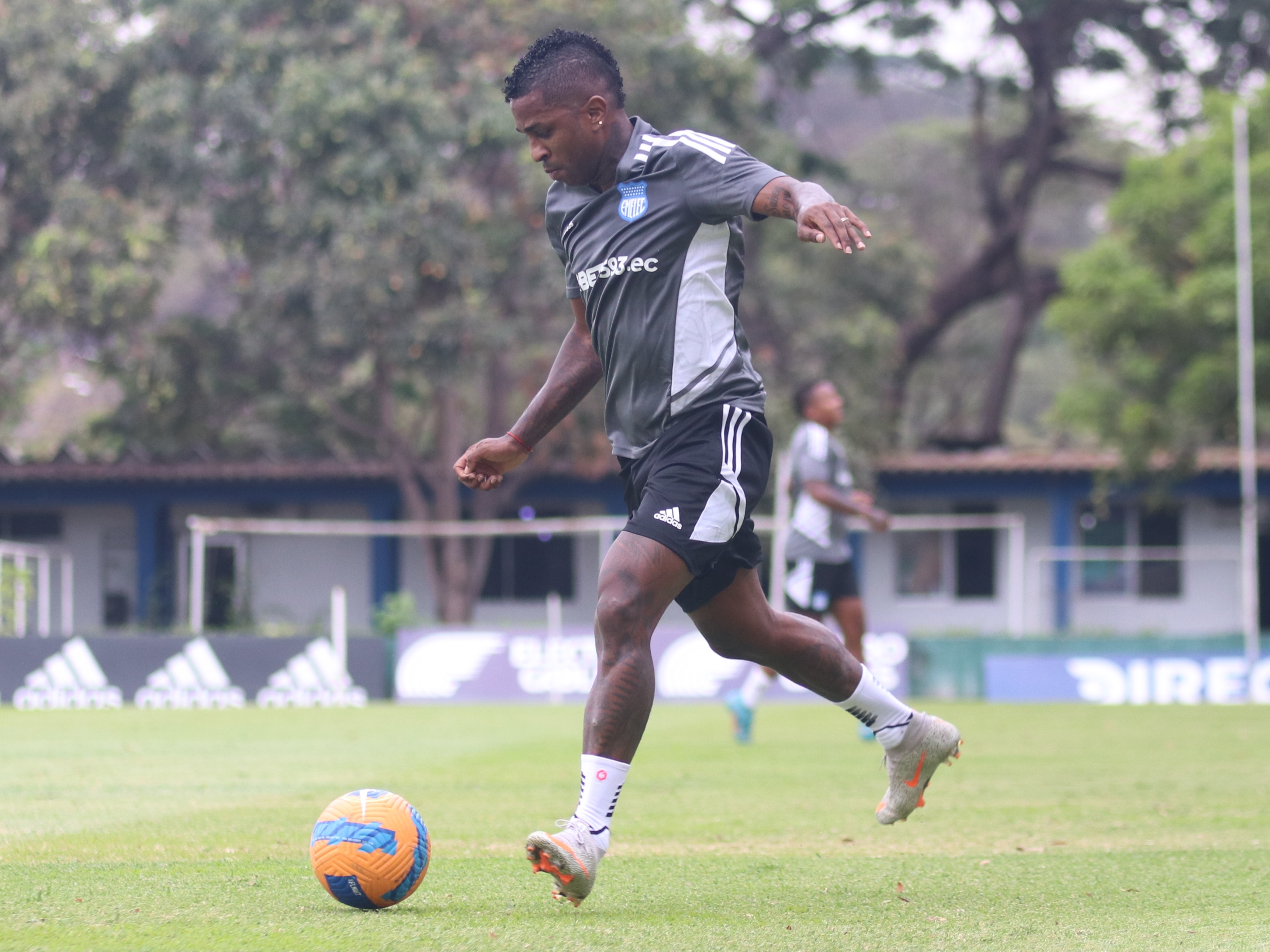 Bryan Angulo (Emelec) - Bio, estatísticas e notícias - 365Scores