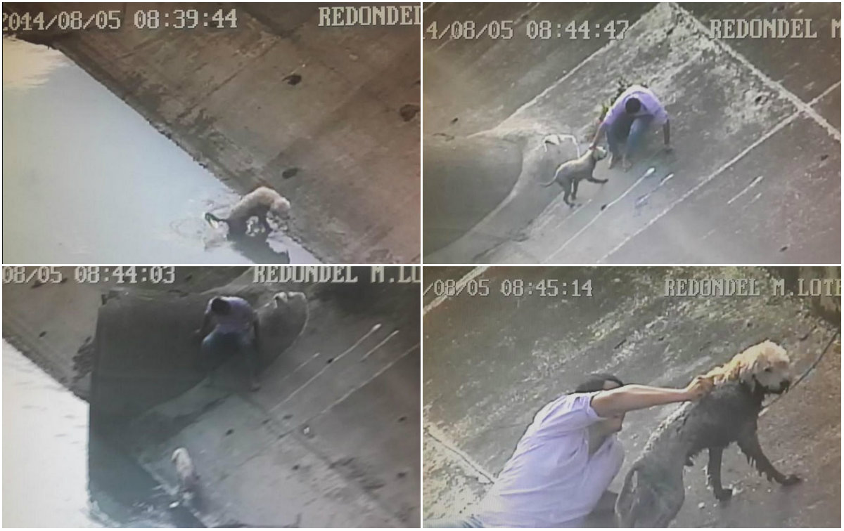 Hombre rescata a perro que cayó en zanja de Guayaquil